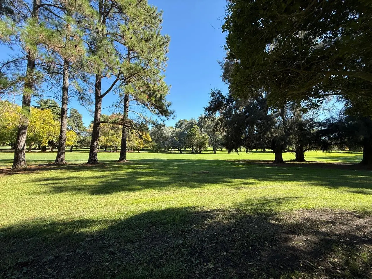 Terreno en venta, foto 2